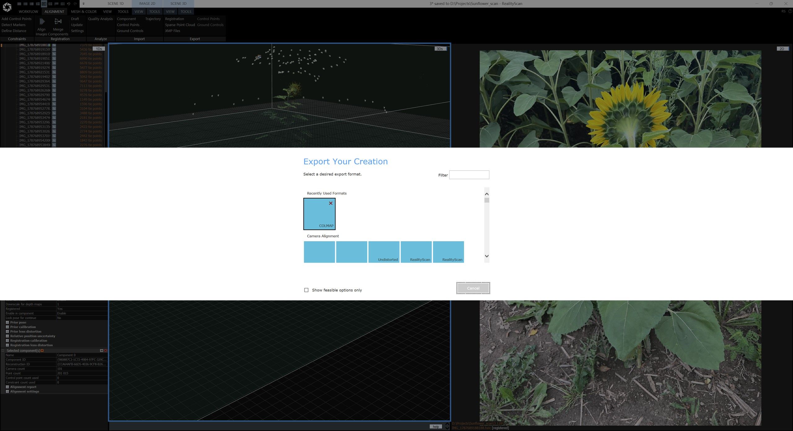 Aligned cameras in RealityScan Desktop