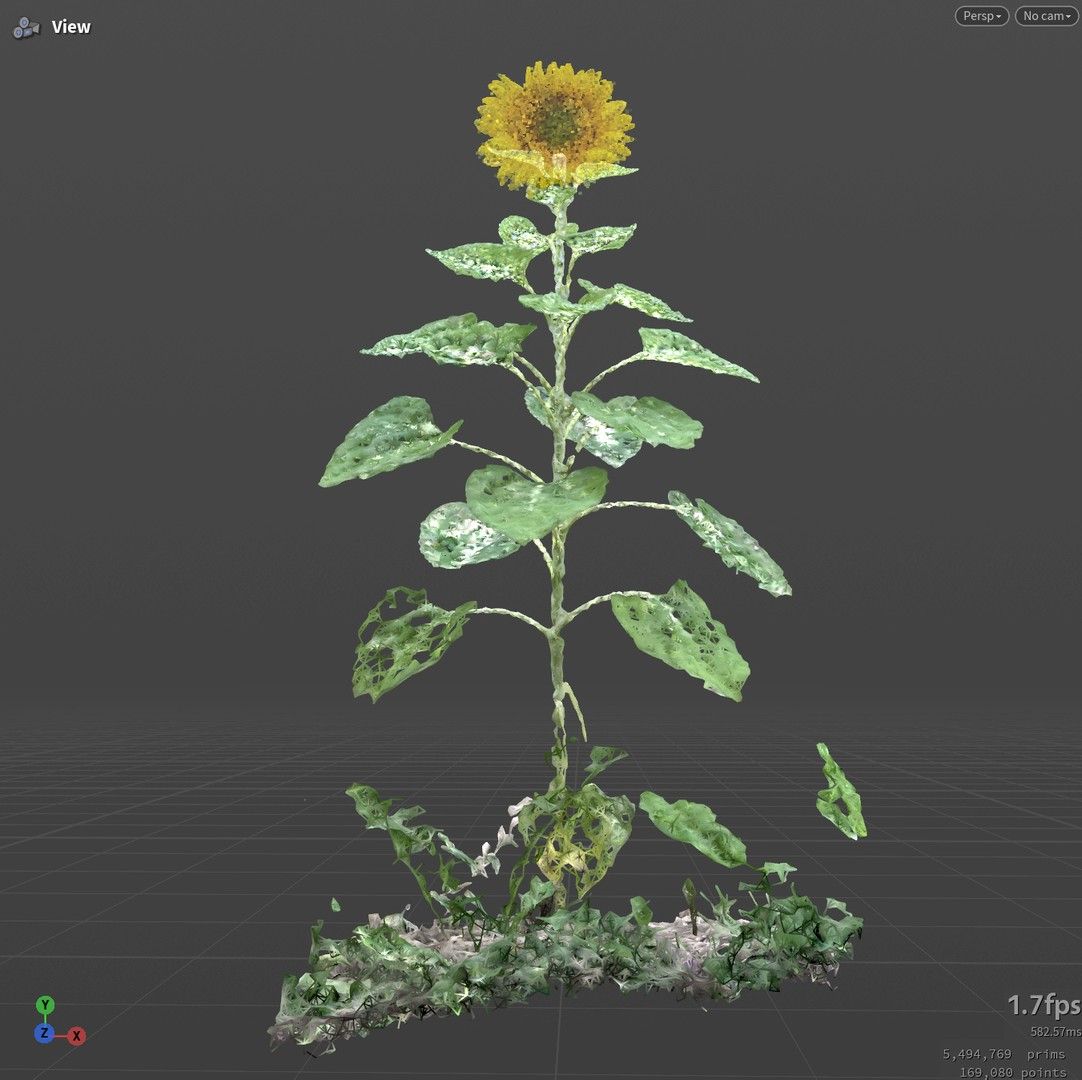 Stem and leaves after density culling