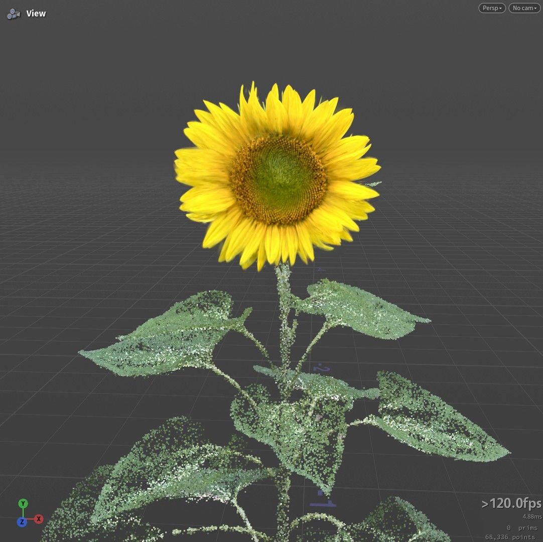 Flower disc before touch-up