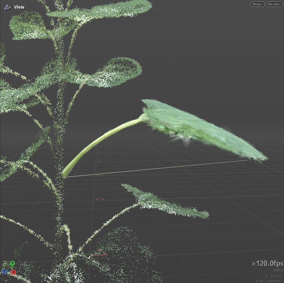 Per-leaf random rotation
