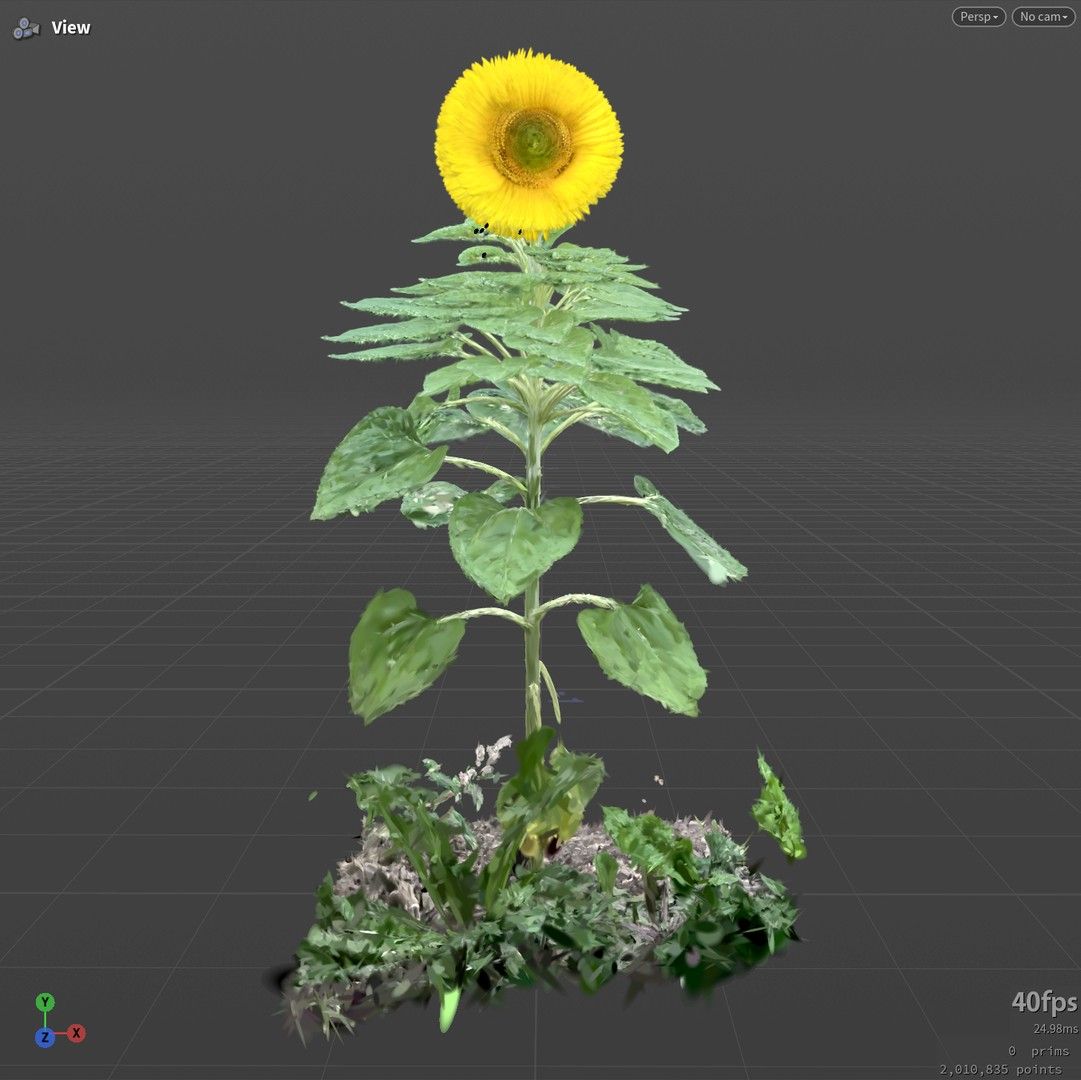Ten sunflower variations generated with PDG