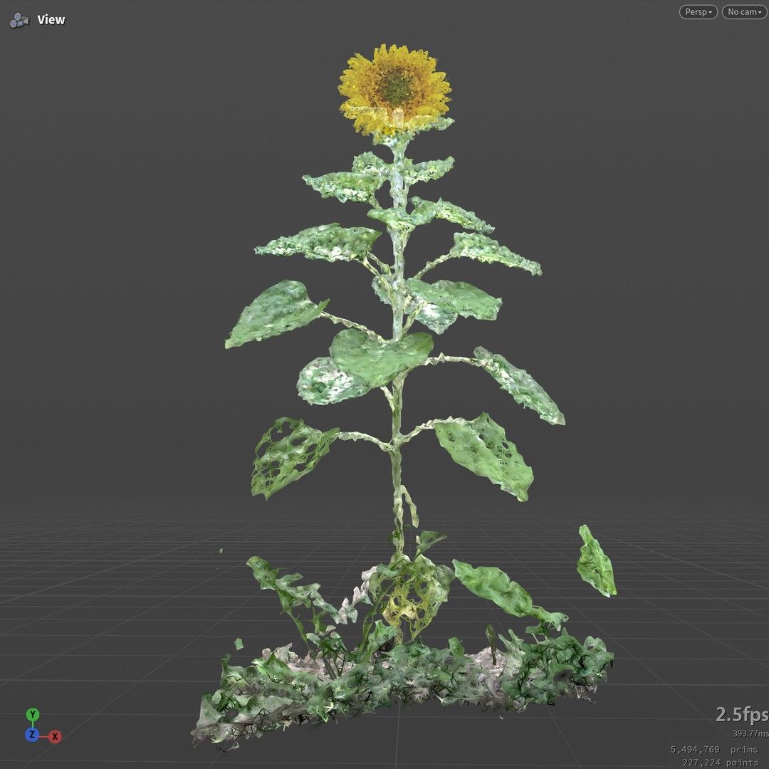 Stem and leaves before density culling