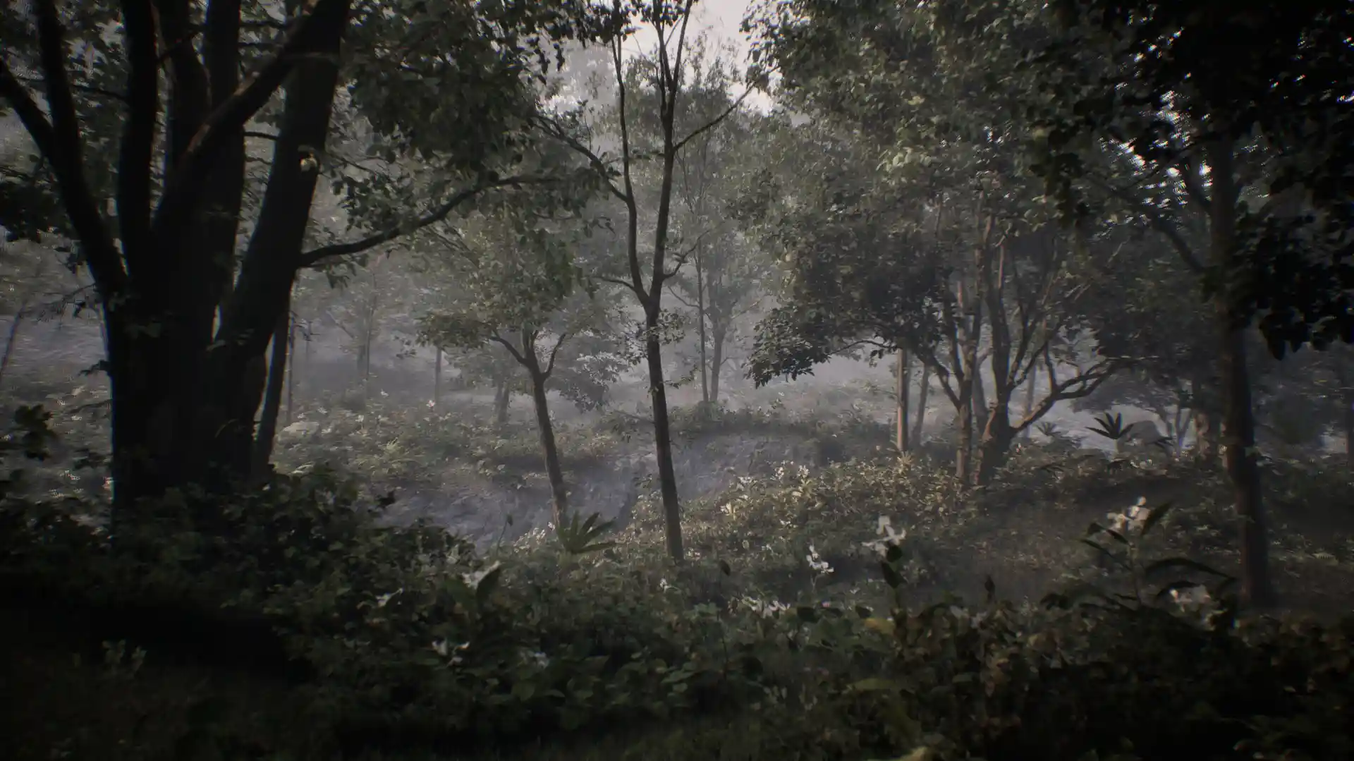 Open World Landscape Generation: Houdini & Unreal PCG