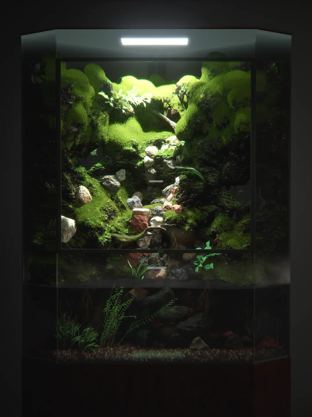Procedural Paludarium